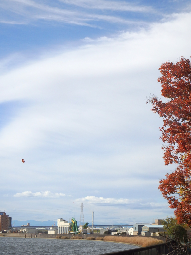 風(凩かな)の強い日の隅田川の風景