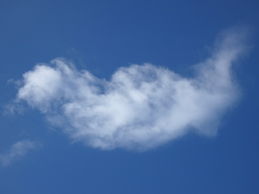 秋空の真っ白いクジラ積雲