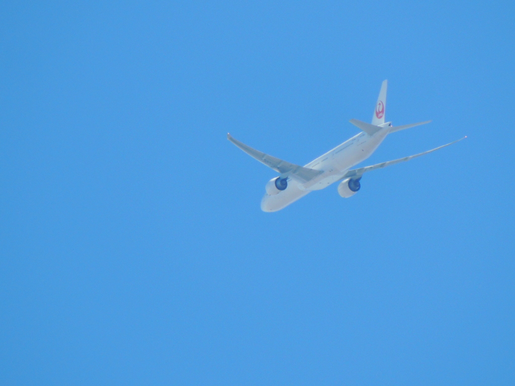晴天のJAL
