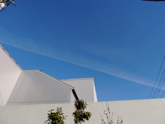 ’23新年の向島の一本の長い空の雲