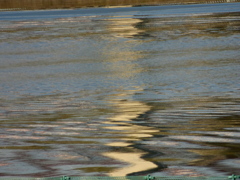 もつれ水面