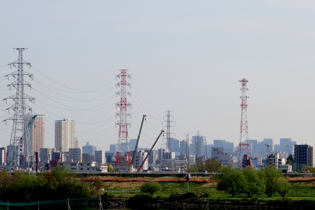 荒川堤五色桜の土手から鉄塔と先の霞む都心のビル群