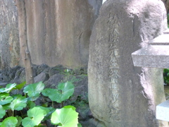 時の鐘と同じ公園内に吉田松陰終焉地の碑がある