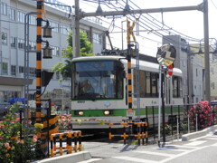 荒川遊園から宮の前に向かう踏切のグリーンストライプの荒川線