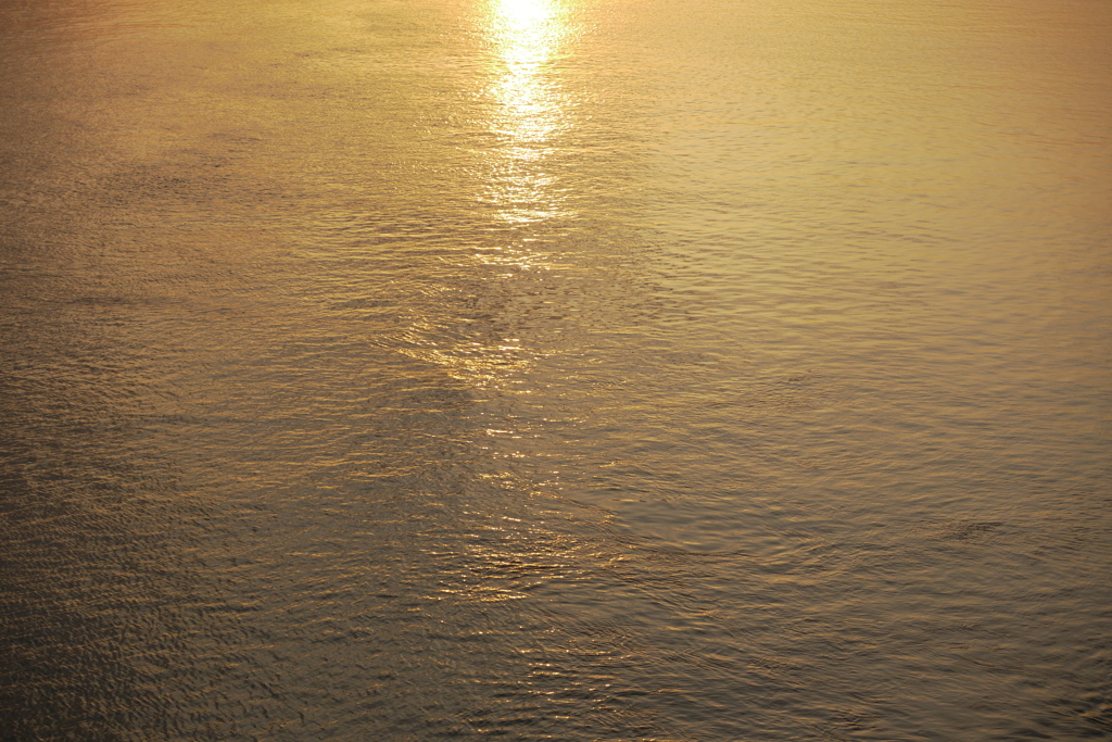 春の夕方の荒川の川面