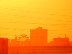 荒川土手から荒川遊園の夕焼け