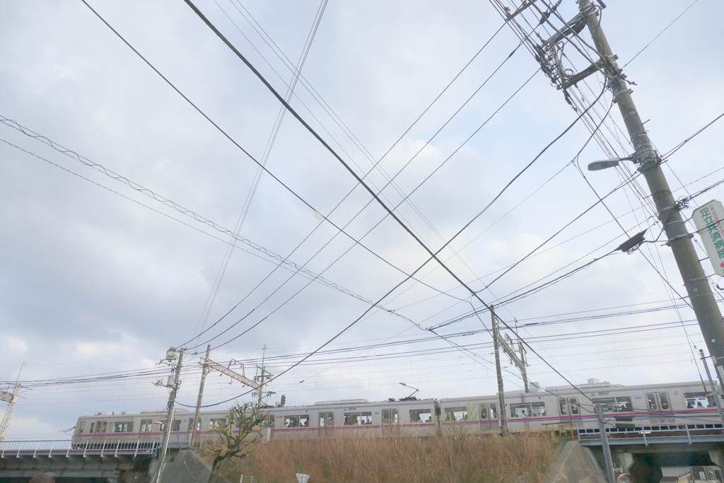 千草園からよく見えない柳原の京成線