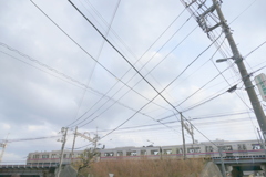 千草園からよく見えない柳原の京成線