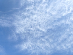 隅田川上空のレースのような雲