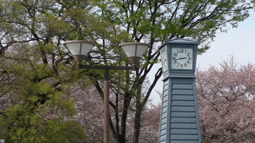 名古屋城に到着