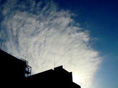 荒川土手から元町団地の上の白雲
