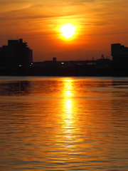 隅田川新テラスから