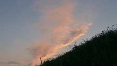 土手上の夕焼け雲