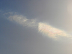 荒川土手の彩雲