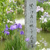 大宰府天満宮の池の歌碑と花菖蒲