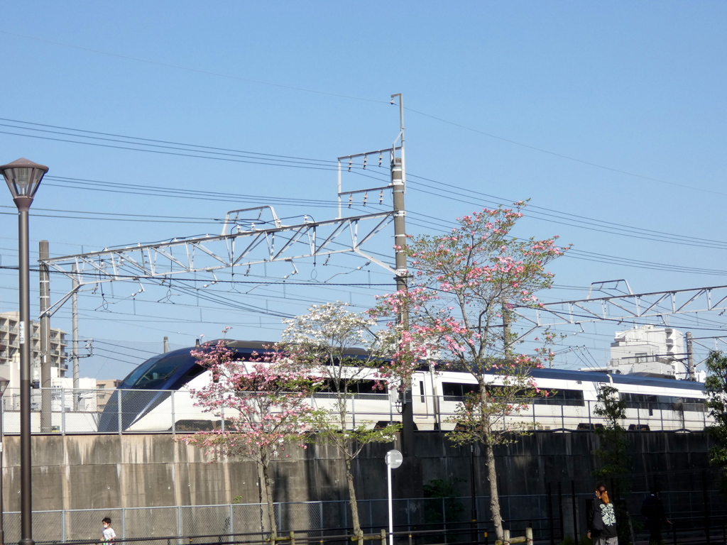 千住大橋の日常