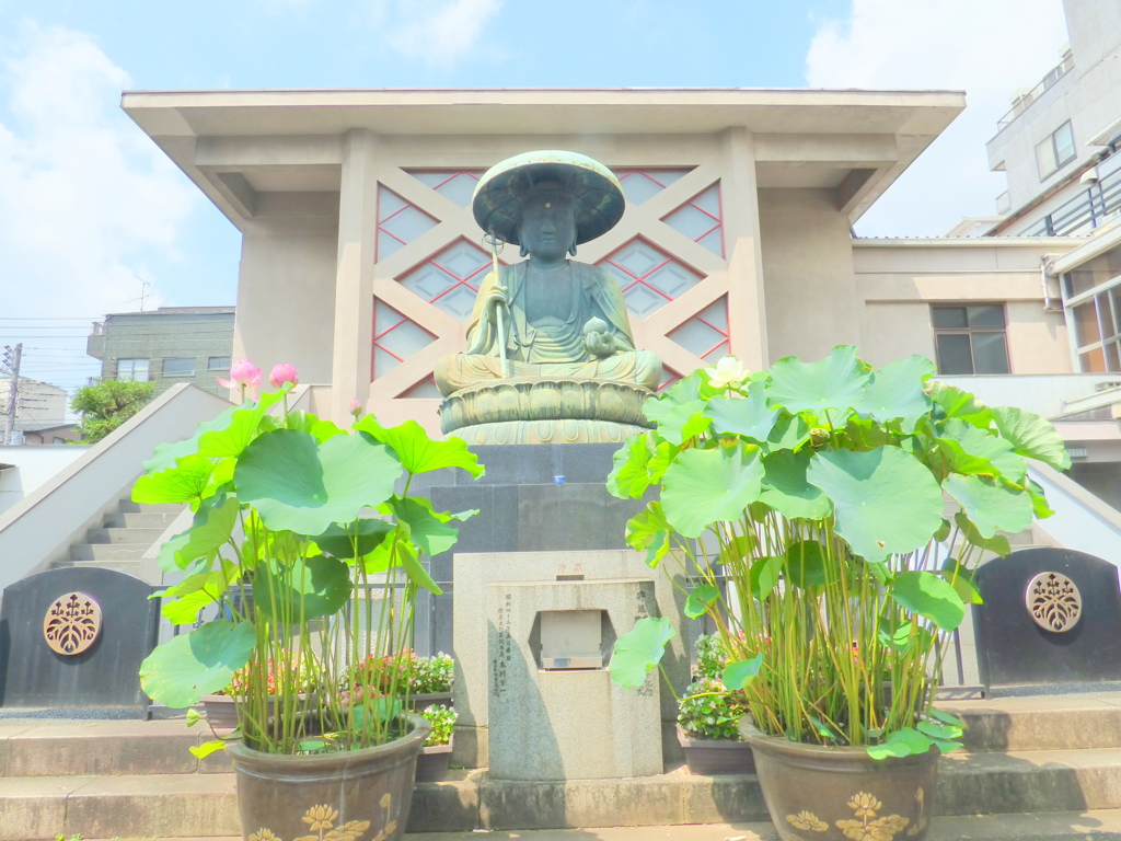 東浅草の東禅寺の江戸六地蔵と蓮のお供え花