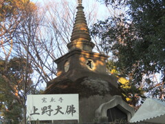 '23新春恒例の上野に新年会へ行った会場の前の上野大仏パゴタ