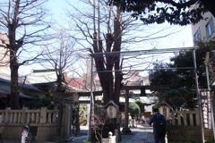 下谷の金杉通りの小野照崎神社