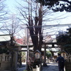 下谷の金杉通りの小野照崎神社