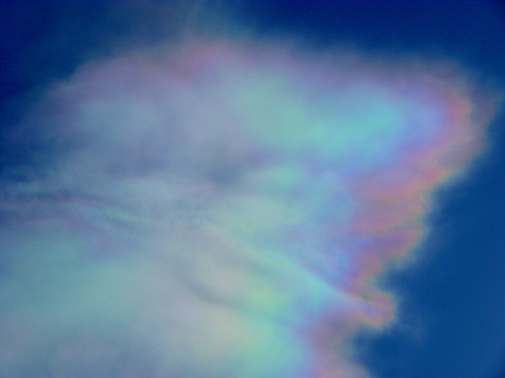 青空と大きな彩雲