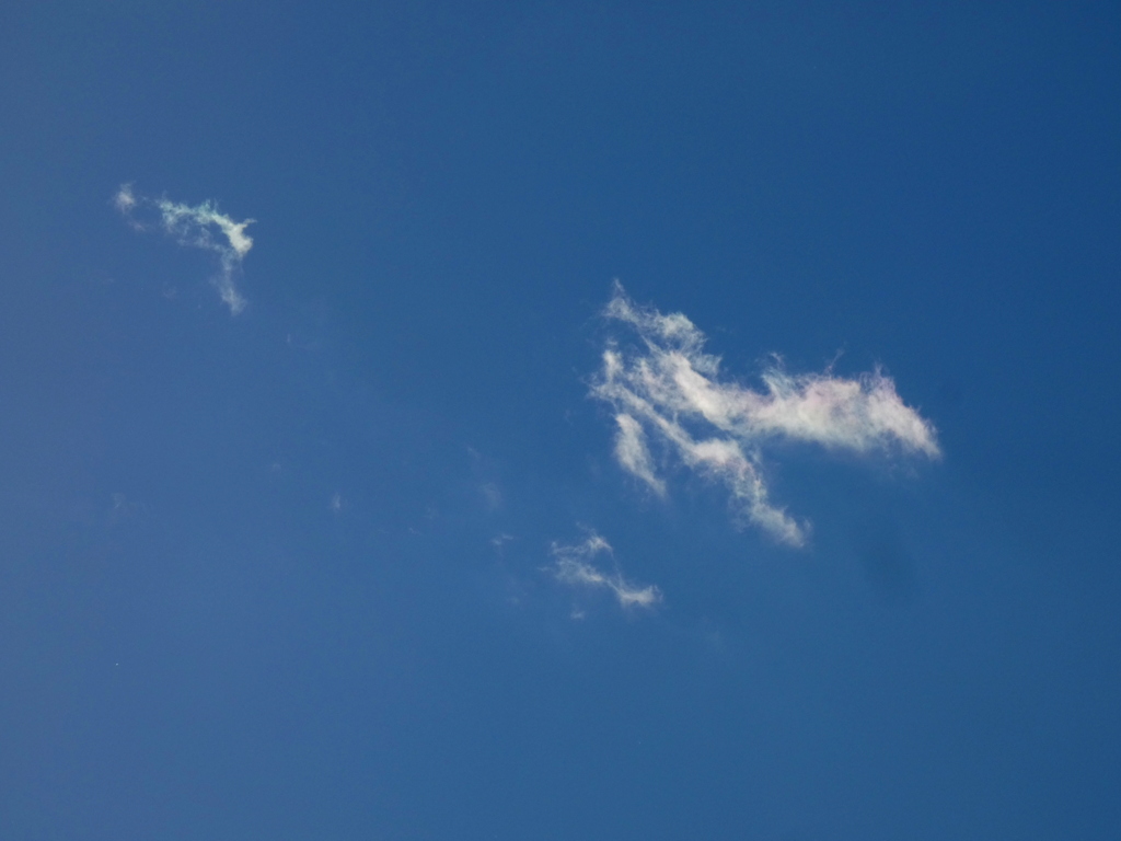 ’22新年の隅田川上空の微彩雲