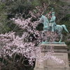 上野恩賜公園の小松乙女の原木