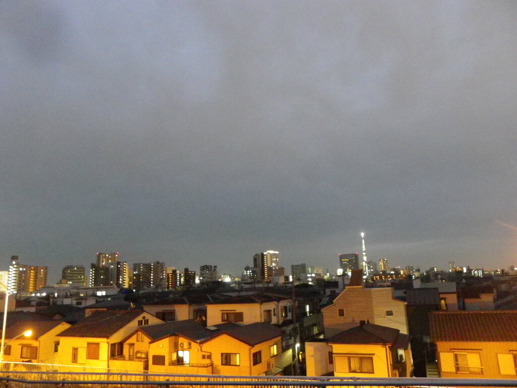 荒川土手から千住方面の夜景