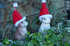 自動車学校のウサギのサンタさん