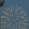 '２５隅田川花火大会０２