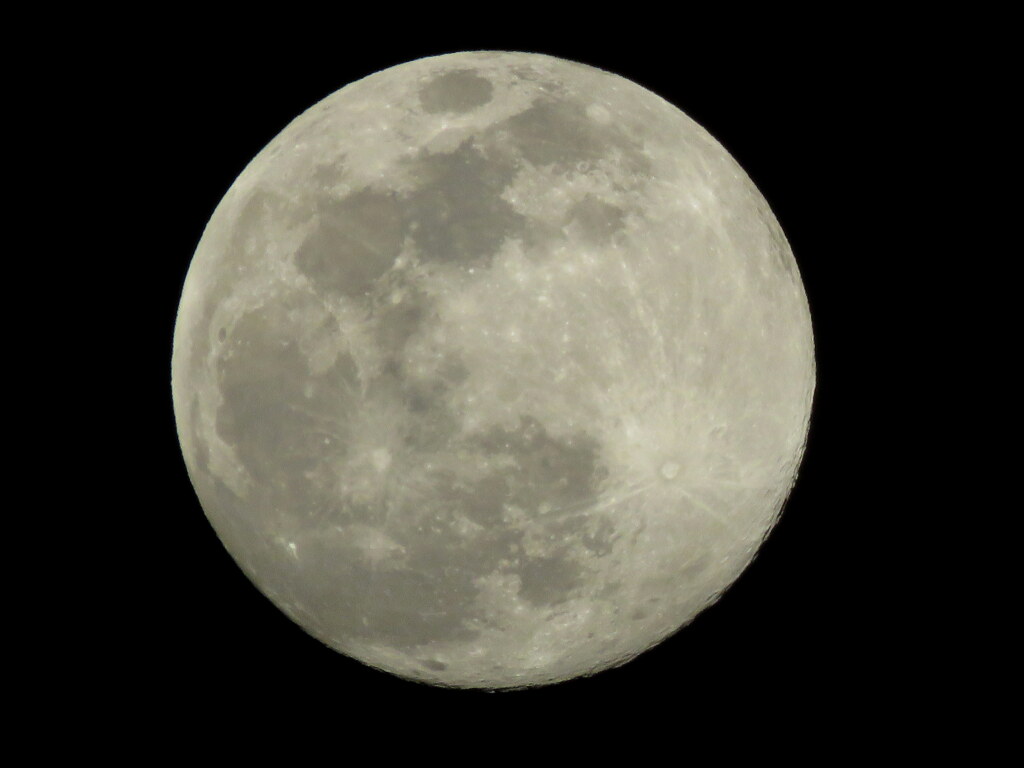 プレコールドムーン&スーパームーン月齢14.1