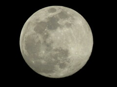 プレコールドムーン&スーパームーン月齢14.1