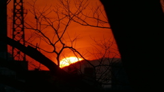 公園の森から雁腹摺山の夕日