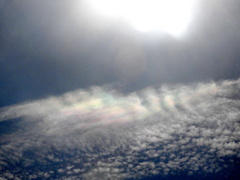 フィルター有の巻積雲の彩雲