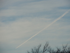千住桜木ワンドの公園の上の雲の中の飛行機雲