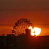 扇大橋から荒川遊園観覧車後ろの夕日