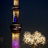 '２５隅田川花火大会１３