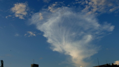 北のクラゲ雲