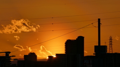 荒川土手から大谷ヶ丸に入る