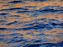 荒川のコラージュしたような水面