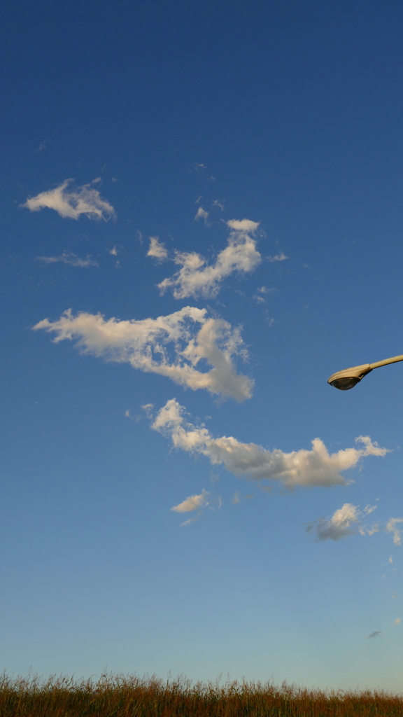 土手の千切れたくも