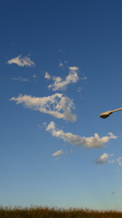 土手の千切れたくも