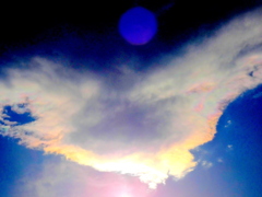 荒川土手太陽上の積雲の彩雲