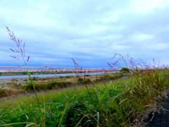 セイバンの荒川の風景