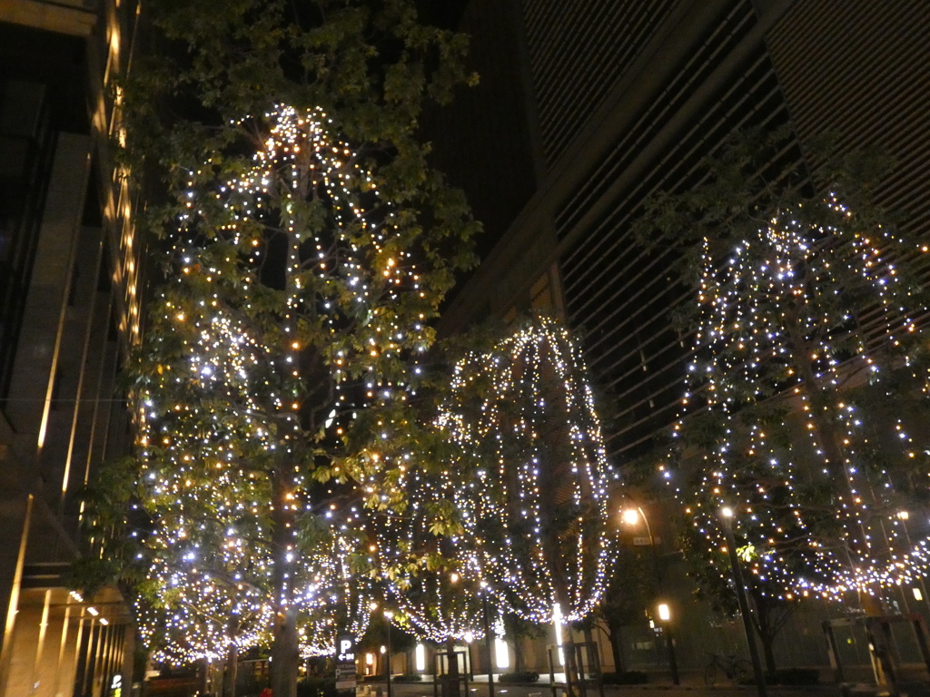 ワンダフルなイルミネーション癒される