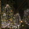 ワンダフルなイルミネーション癒される