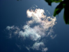 木陰の彩雲