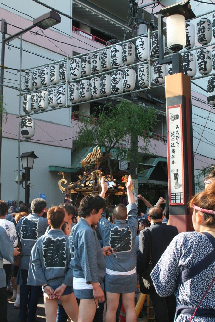 浅草の三社祭