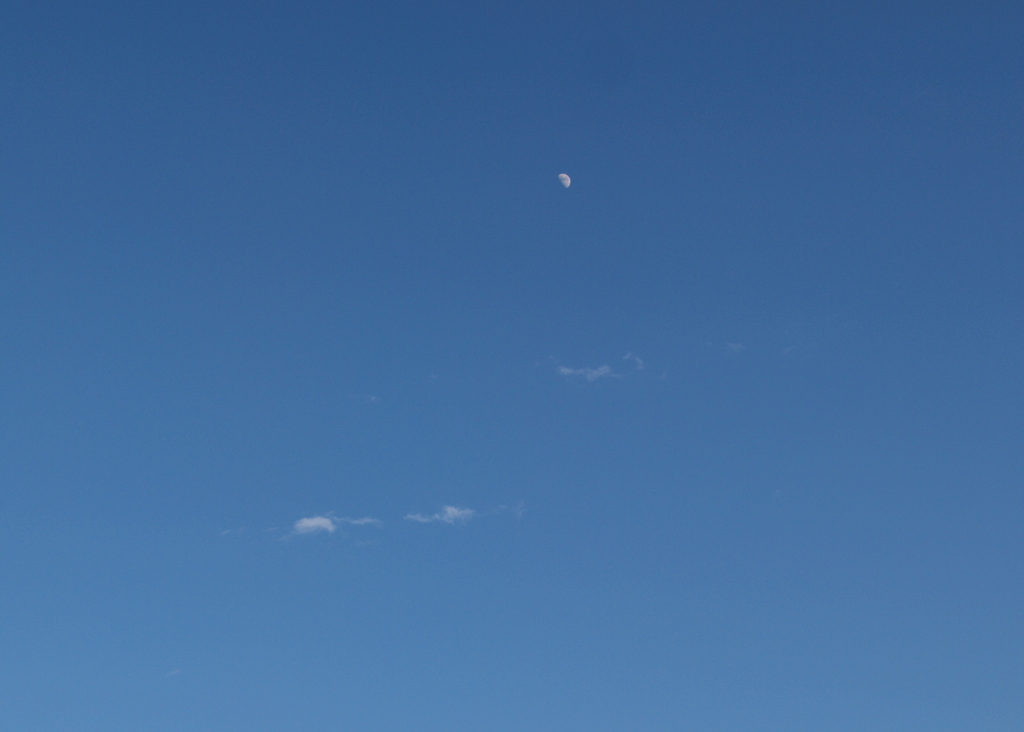 荒川土手から’22大晦日の月と微雲
