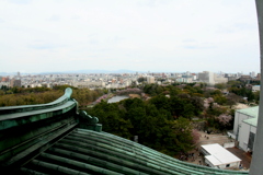 名古屋城の天主からの眺め１０